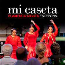Mi Caseta Flamenco Show