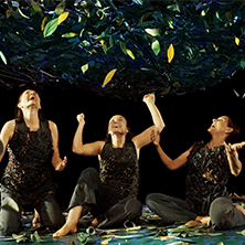 Sotobosque, la vida bajo los &aacute;rboles