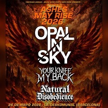 Ashes May Rise