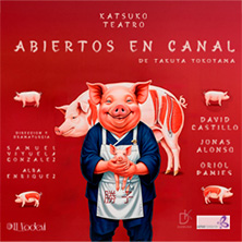 Abiertos en canal