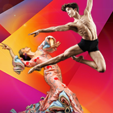 Academia L&oacute;pez Infante