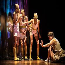 Diario di un brutto anatroccolo