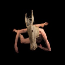 Animal de s&eacute;quia