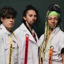 &Aacute;cido Pantera