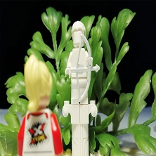 Olympus Kids Amazonas