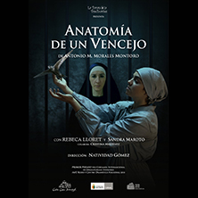 Anatom&iacute;a de un Vencejo