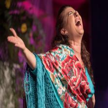 M&aacute;laga cantaor