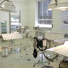 Quir&oacute;fano Negr&iacute;n