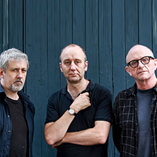 The Necks