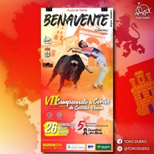 VII CAMPEONATO DE CORTES DE CyL