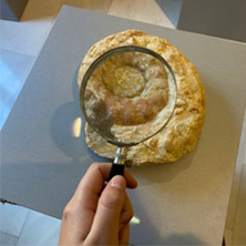 Ruta urbana de los f&oacute;siles de Cabra