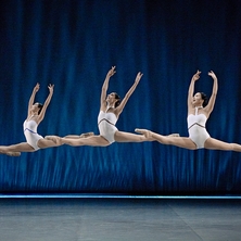 Les Grands Ballets Canadiens De Montr&eacute;al