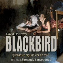 Blackbird