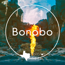 Bonobo