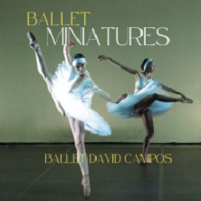 Ballet Miniatures