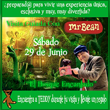 Visita Guiada junto a Mr. Bean