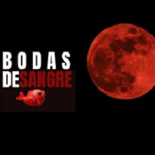 Bodas de sangre - Microcl&aacute;sico