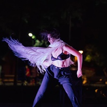 Borboleta do C&eacute;u e da Terra