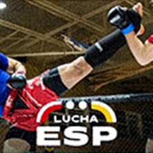 Campeonato auton&oacute;mico MMA