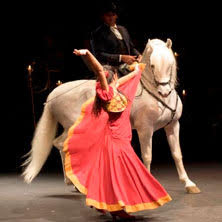 Carmen de Salvador T&aacute;vora