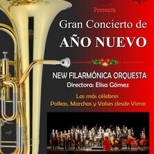 Concierto de A&ntilde;o Nuevo Teatro Zorrilla