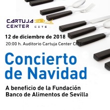 VIII Concierto de Navidad Banco de alimentos