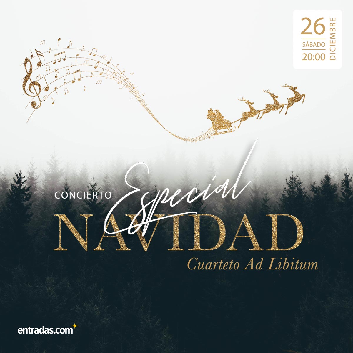 Concierto Especial de Navidad