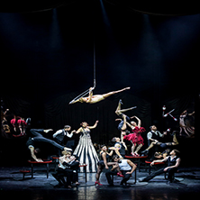 Circo. Paris de Nuit