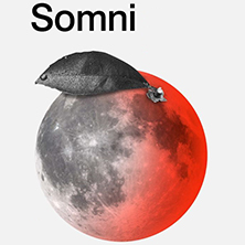 Somni - Teatro Rialto