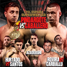 Campeonato de Espa&ntilde;a del Peso Superwelter