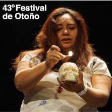 Cachorro de Le&oacute;n