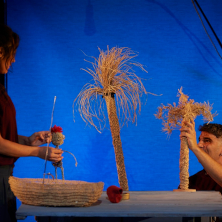 La isla de las cosas perdidas