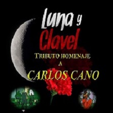 Luna y clavel