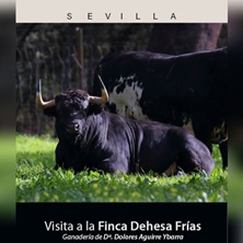 Visita a la Finca Dehesa Fr&iacute;as
