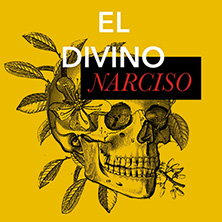 Auto del Divino Narciso