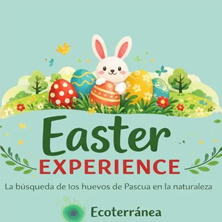Easter Experience