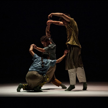 El Bosque (Marcat Dance)