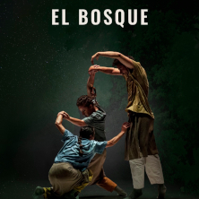 El bosque