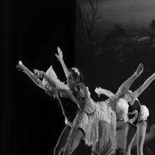 El lago de los cisnes 3D - Larumbe Danza