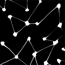 Entre los naranjos y la hierbabuena