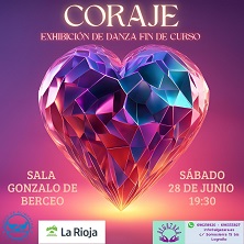 Exhibici&oacute;n de danza fin de curso