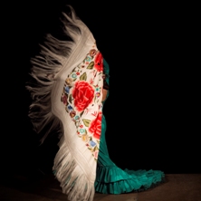 Experiencia Flamenca