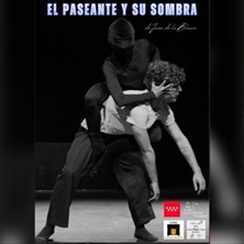 El paseante y su sombra