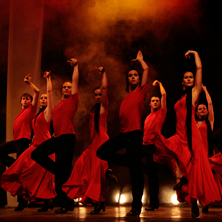 Espa&ntilde;a Baila Flamenco