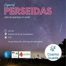 Especial Perseidas