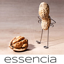 Essencia