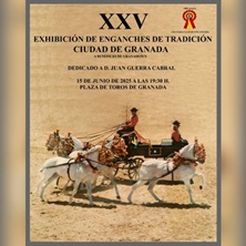 Exhibici&oacute;n de enganches de tradici&oacute;n