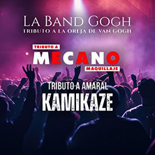 Festival de Tributos - Divas del Pop