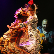 Flamenco Barcelona City