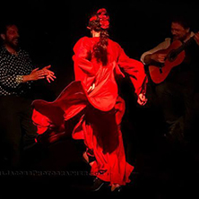 Flamenco La Exclusiva